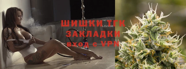 спайс Арсеньев
