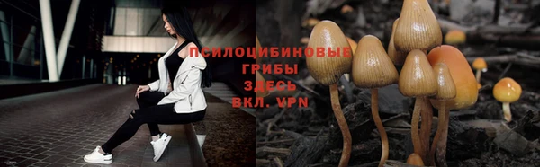 индика Балабаново