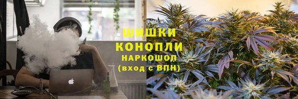 СК Аркадак