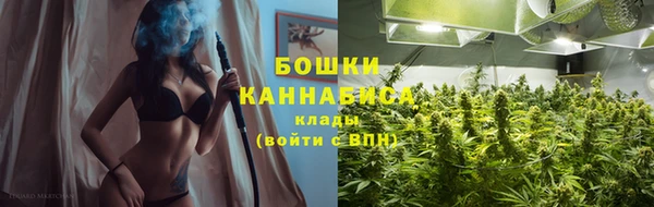 СК Аркадак