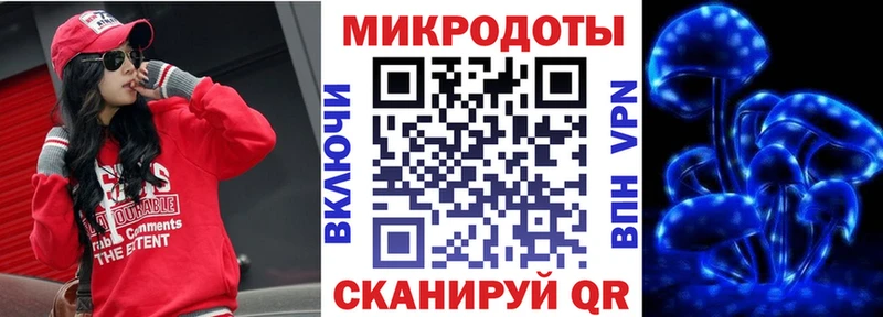 площадка состав  сколько стоит  Слюдянка  Псилоцибиновые грибы Psilocybe 