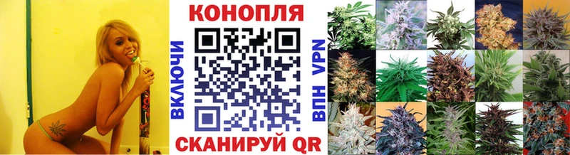где продают наркотики  МЕГА онион  Конопля индика  Слюдянка 